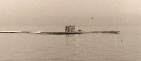 El U1161